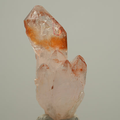 Enhydro Skelett Phantom Rauchquarz Zepter mit Eisen, 1x Blase Goboboseb Namibia 52*25*23mm #14043