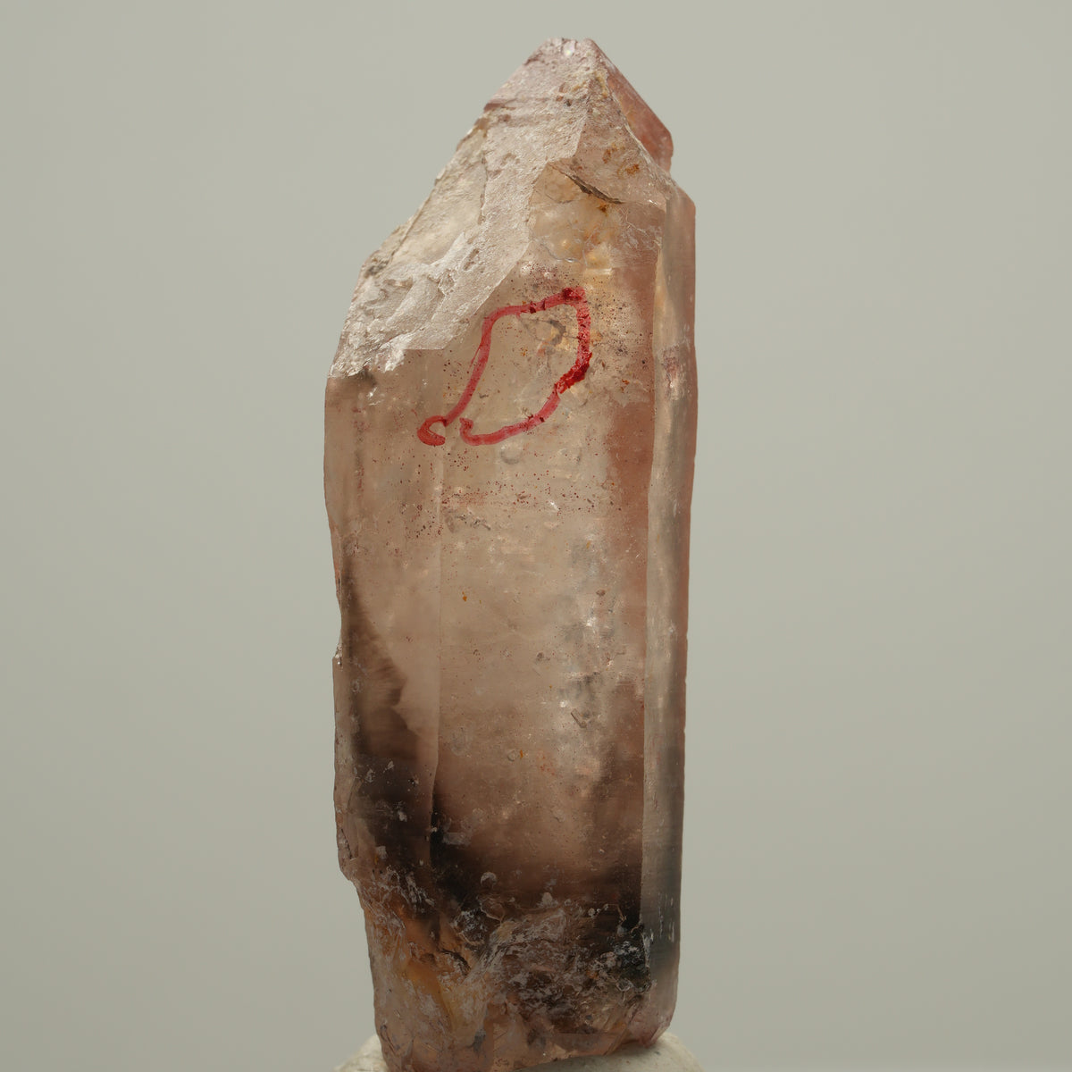 Enhydro Phantom Rauchquarz Skelett Doppelender, 1x Blase Goboboseb, Namibia 52*15*14mm #14044