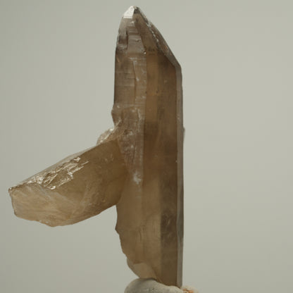 Seltene Skelett Phantom Rauchquarz Gruppe Erongo, Namibia 68*45*31mm #14045