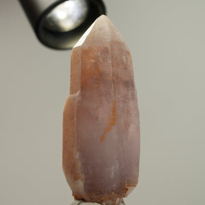 Skelett Phantom Amethyst Zepter Doppelender Spitze Brandberg, Namibia 70*27*23mm #14050
