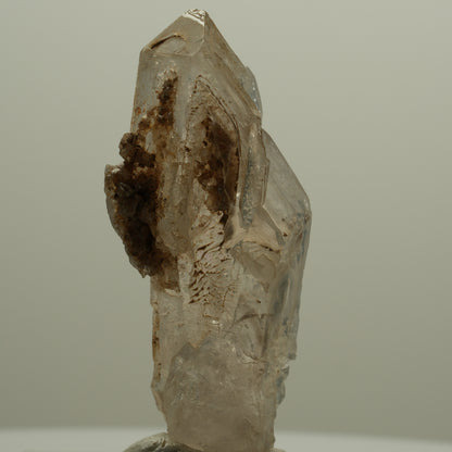 Skelett Fenster Phantom Rauchquarz Zepter Spitze Goboboseb, Namibia 57*26*18mm #14053