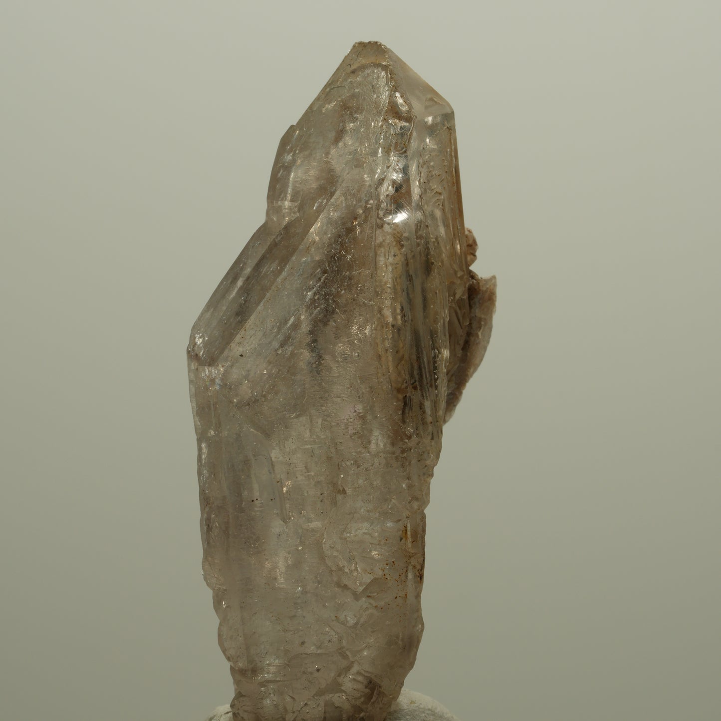 Skelett Fenster Phantom Rauchquarz Zepter Spitze Goboboseb, Namibia 57*26*18mm #14053