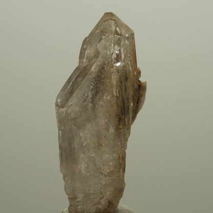 Skelett Fenster Phantom Rauchquarz Zepter Spitze Goboboseb, Namibia 57*26*18mm #14053