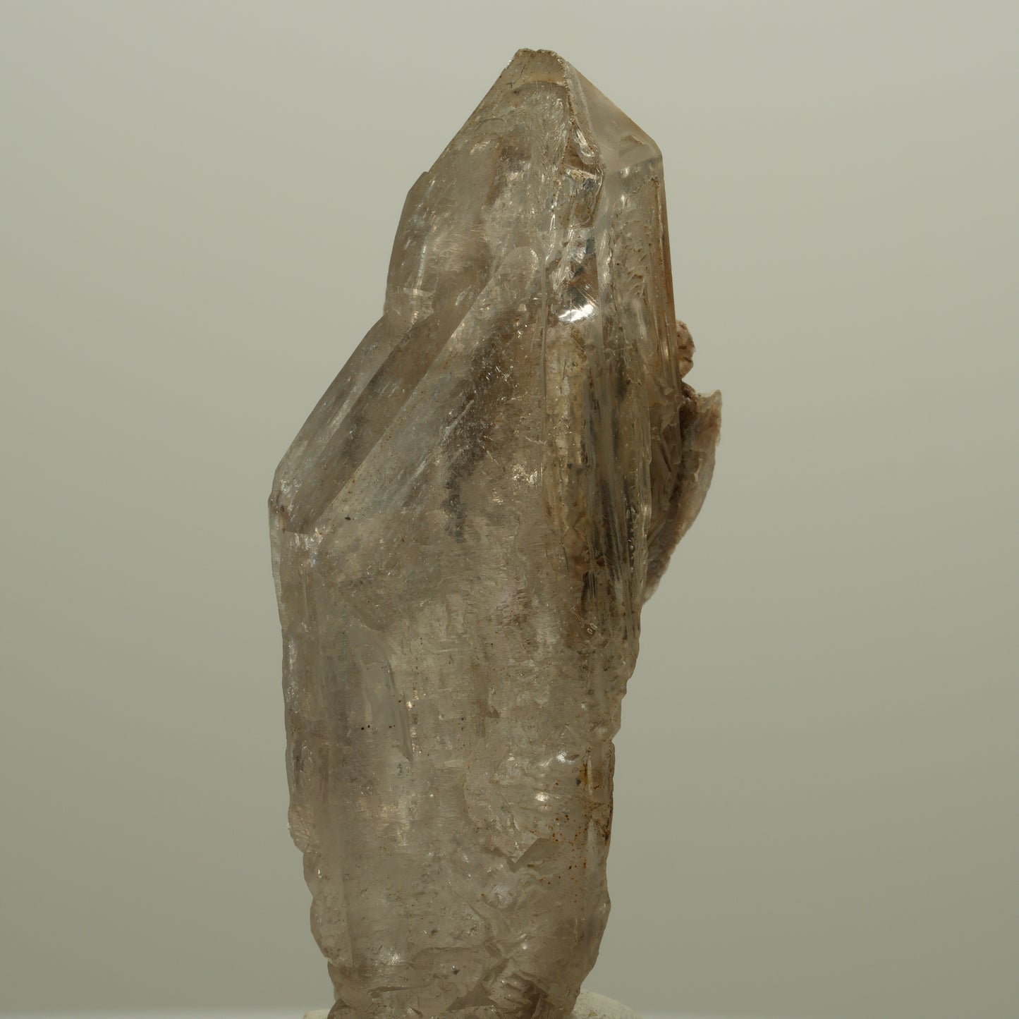 Skelett Fenster Phantom Rauchquarz Zepter Spitze Goboboseb, Namibia 57*26*18mm #14053