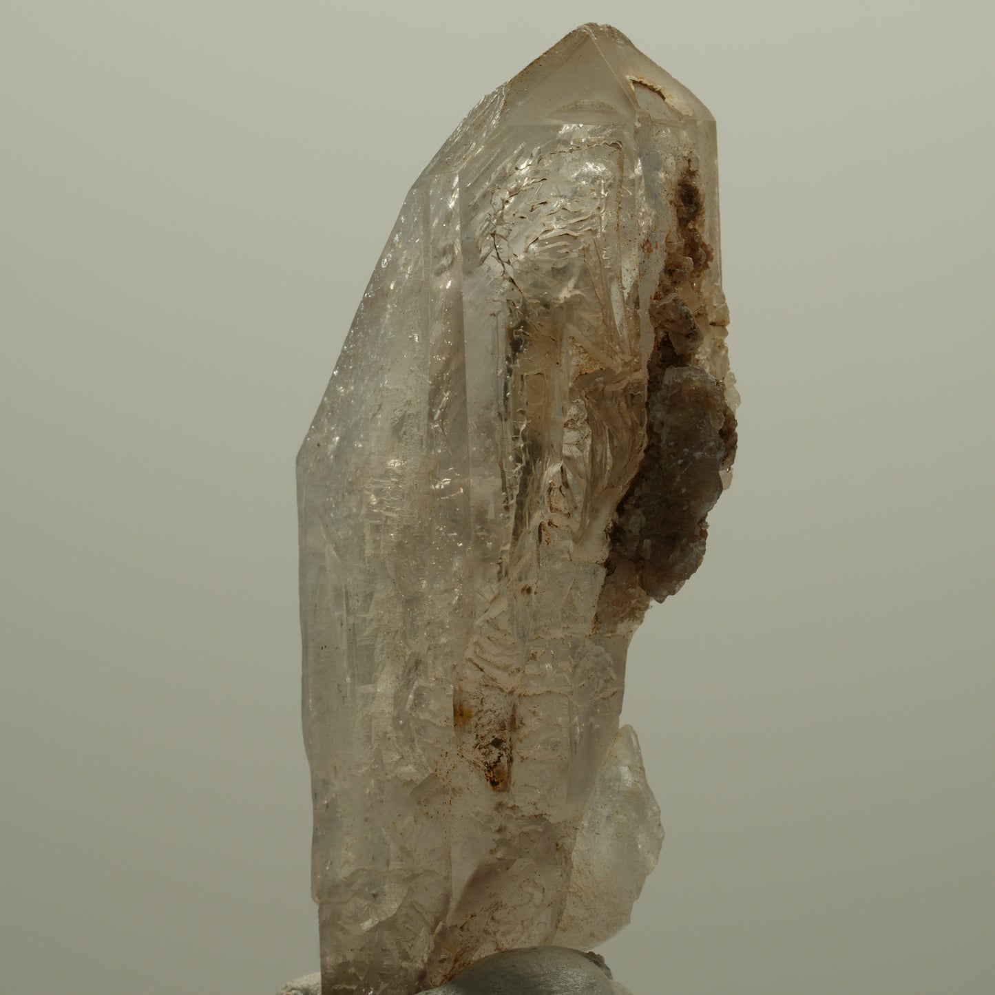 Skelett Fenster Phantom Rauchquarz Zepter Spitze Goboboseb, Namibia 57*26*18mm #14053