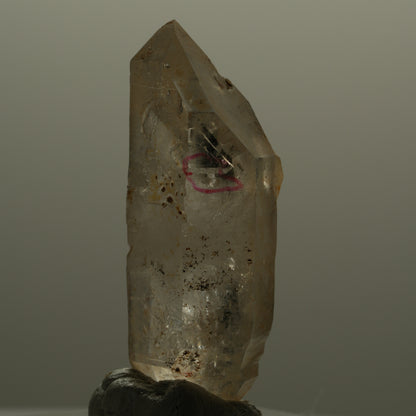 Enhydro Phantom Rauchquarz Skelett Doppelender, 1x Blase Goboboseb, Namibia 49*21*15mm #14054