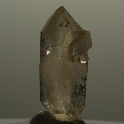 Enhydro Phantom Rauchquarz Skelett Doppelender, 1x Blase Goboboseb, Namibia 49*21*15mm #14054