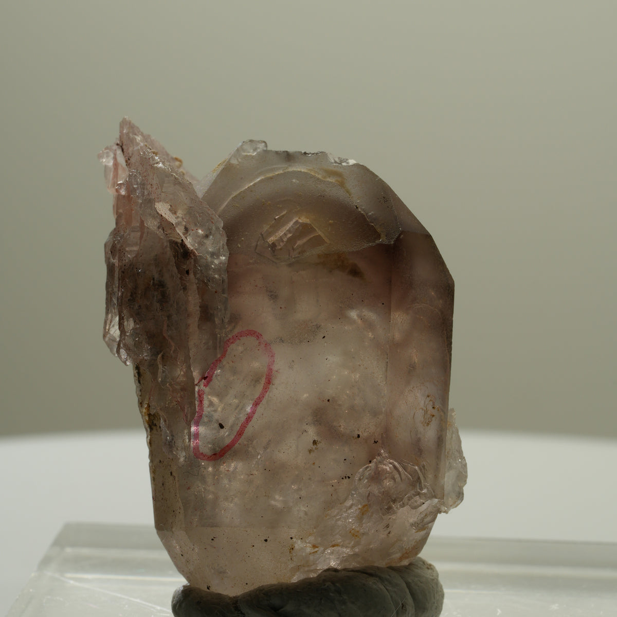 Enhydro Skelett Fenster Phantom Rauchquarz Zepter, 1x Blase Goboboseb, Namibia 37*26*22mm #14057