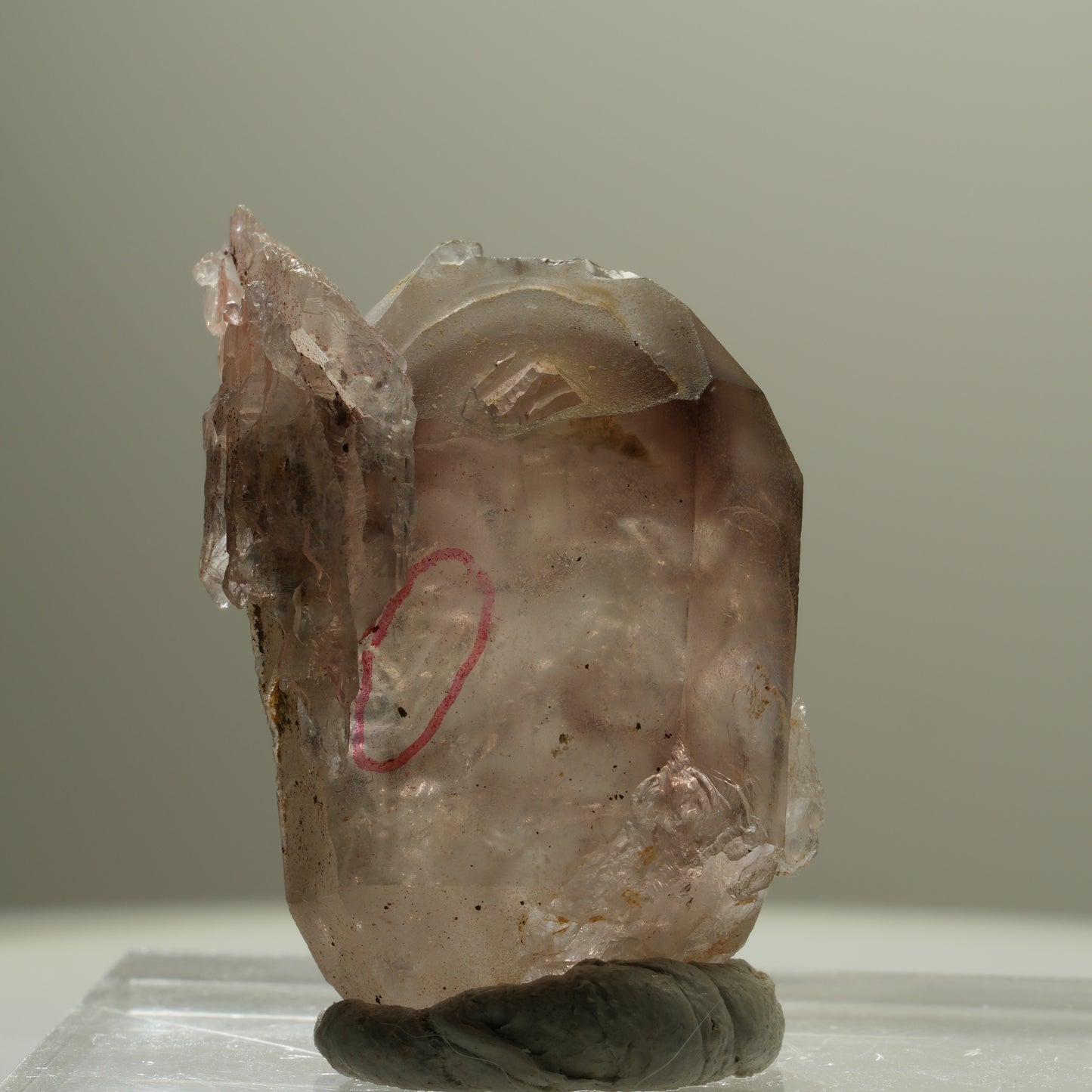 Enhydro Skelett Fenster Phantom Rauchquarz Zepter, 1x Blase Goboboseb, Namibia 37*26*22mm #14057