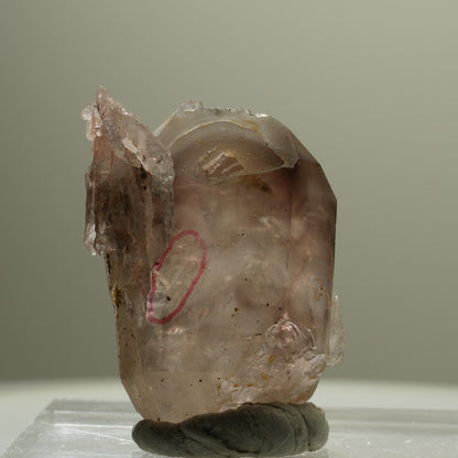 Enhydro Skelett Fenster Phantom Rauchquarz Zepter, 1x Blase Goboboseb, Namibia 37*26*22mm #14057