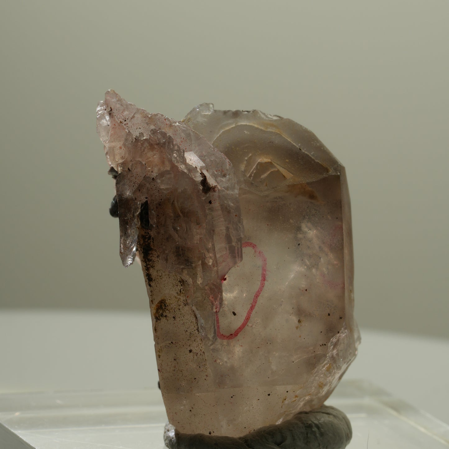 Enhydro Skelett Fenster Phantom Rauchquarz Zepter, 1x Blase Goboboseb, Namibia 37*26*22mm #14057