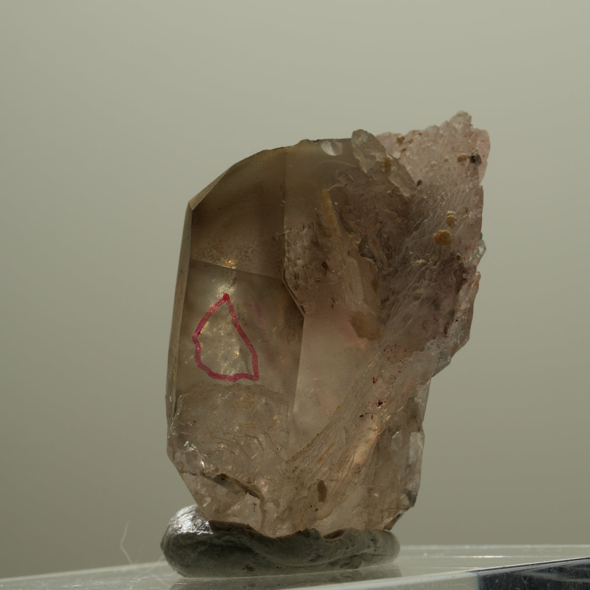 Enhydro Skelett Fenster Phantom Rauchquarz Zepter, 1x Blase Goboboseb, Namibia 37*26*22mm #14057
