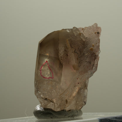 Enhydro Skelett Fenster Phantom Rauchquarz Zepter, 1x Blase Goboboseb, Namibia 37*26*22mm #14057