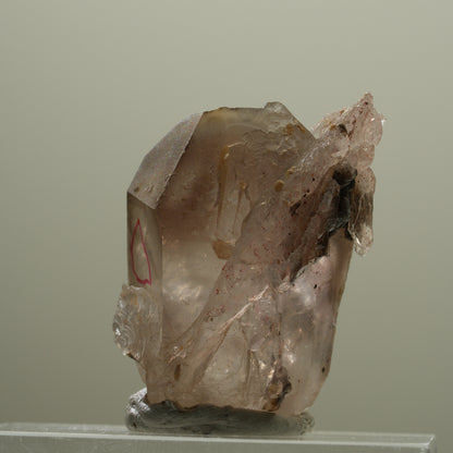 Enhydro Skelett Fenster Phantom Rauchquarz Zepter, 1x Blase Goboboseb, Namibia 37*26*22mm #14057