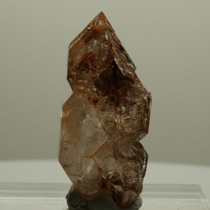 Skelett Phantom Rauchquarz Fenster Zepter Doppelender Spitze Goboboseb Namibia 44*21*16mm #14058