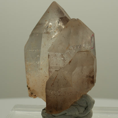 Enhydro Phantom Rauchquarz Skelett Spitzen, 1x Blase Goboboseb, Namibia 49*35*25mm #14059