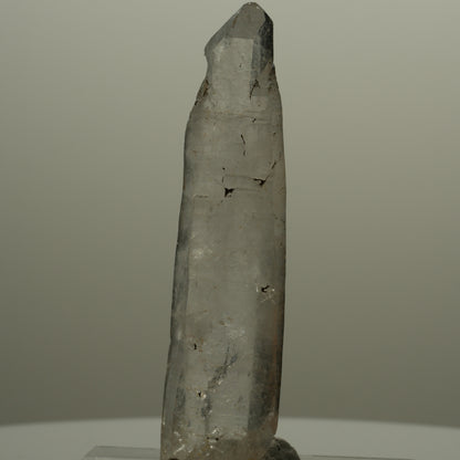 Tafelige Phantom Skelett Rauchquarz Spitze Goboboseb, Namibia 71*18*10mm #14061