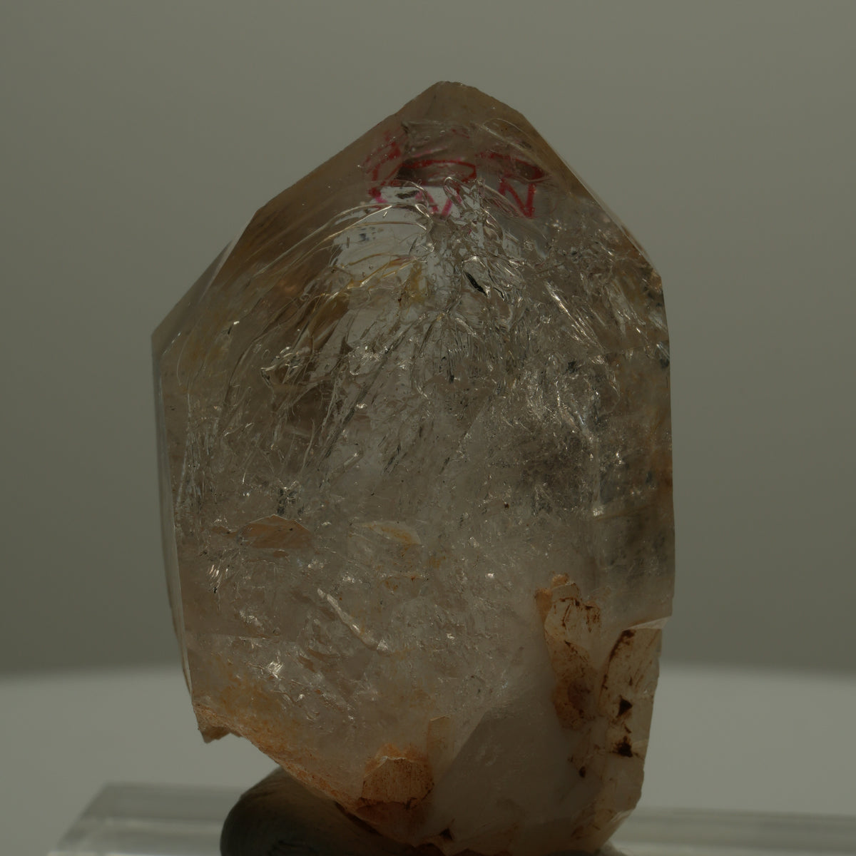 Enhydro Skelett Fenster Phantom Rauchquarz Zepter, 1x Blase Goboboseb, Namibia 46*29*28mm #14064