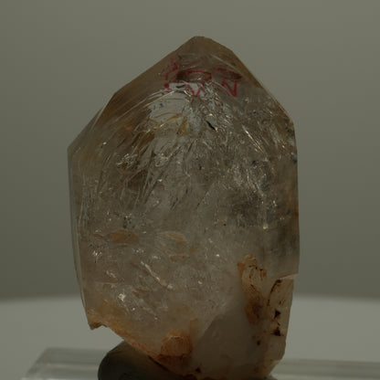 Enhydro Skelett Fenster Phantom Rauchquarz Zepter, 1x Blase Goboboseb, Namibia 46*29*28mm #14064