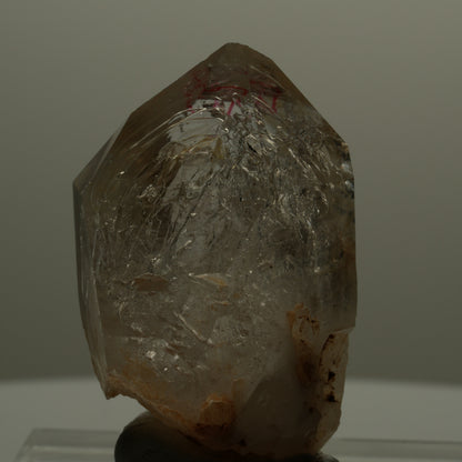 Enhydro Skelett Fenster Phantom Rauchquarz Zepter, 1x Blase Goboboseb, Namibia 46*29*28mm #14064