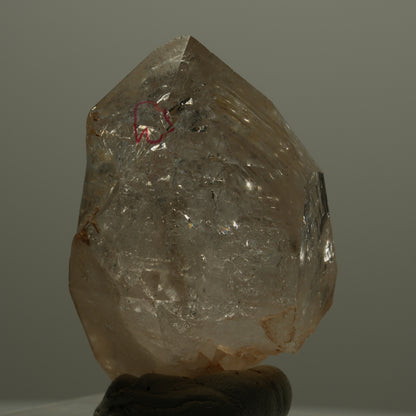 Enhydro Skelett Fenster Phantom Rauchquarz Zepter, 1x Blase Goboboseb, Namibia 46*29*28mm #14064