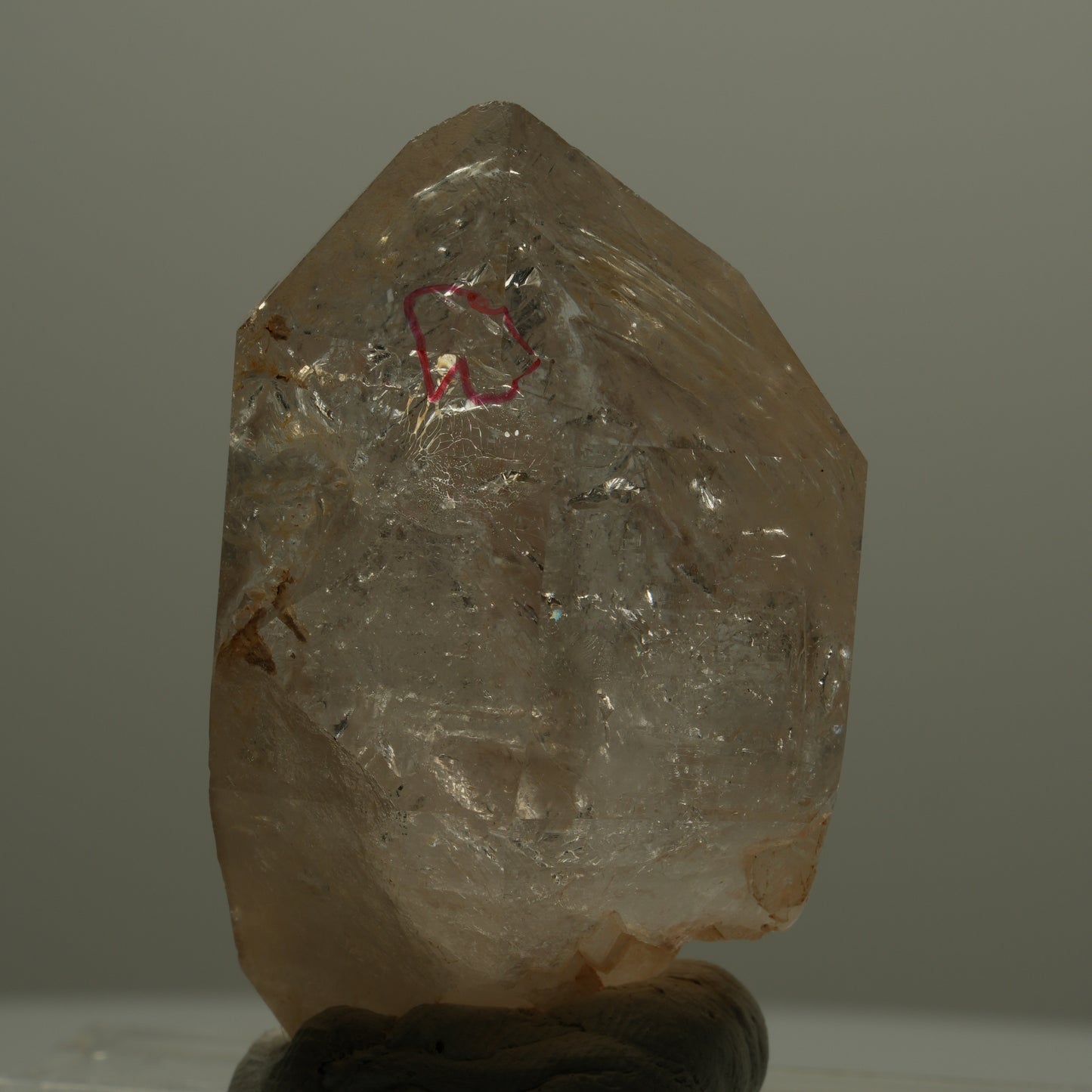 Enhydro Skelett Fenster Phantom Rauchquarz Zepter, 1x Blase Goboboseb, Namibia 46*29*28mm #14064