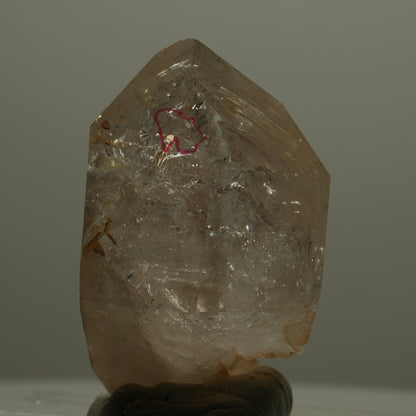 Enhydro Skelett Fenster Phantom Rauchquarz Zepter, 1x Blase Goboboseb, Namibia 46*29*28mm #14064