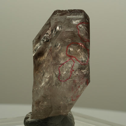 Enhydro Skelett Fenster Phantom Rauchquarz, 5x Blase Goboboseb, Namibia 42*24*12mm #14066