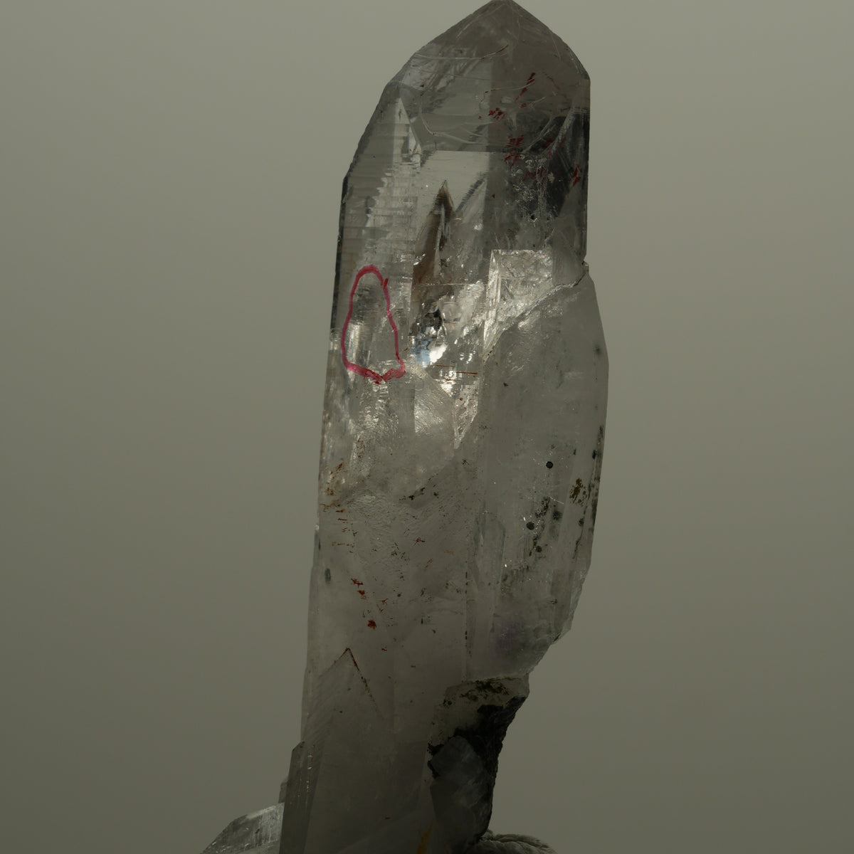 Enhydro Harlekin Lemurian Rauchquarz Spitze, 1x Blase Streep Mine, Namibia 60*20*15mm #14067