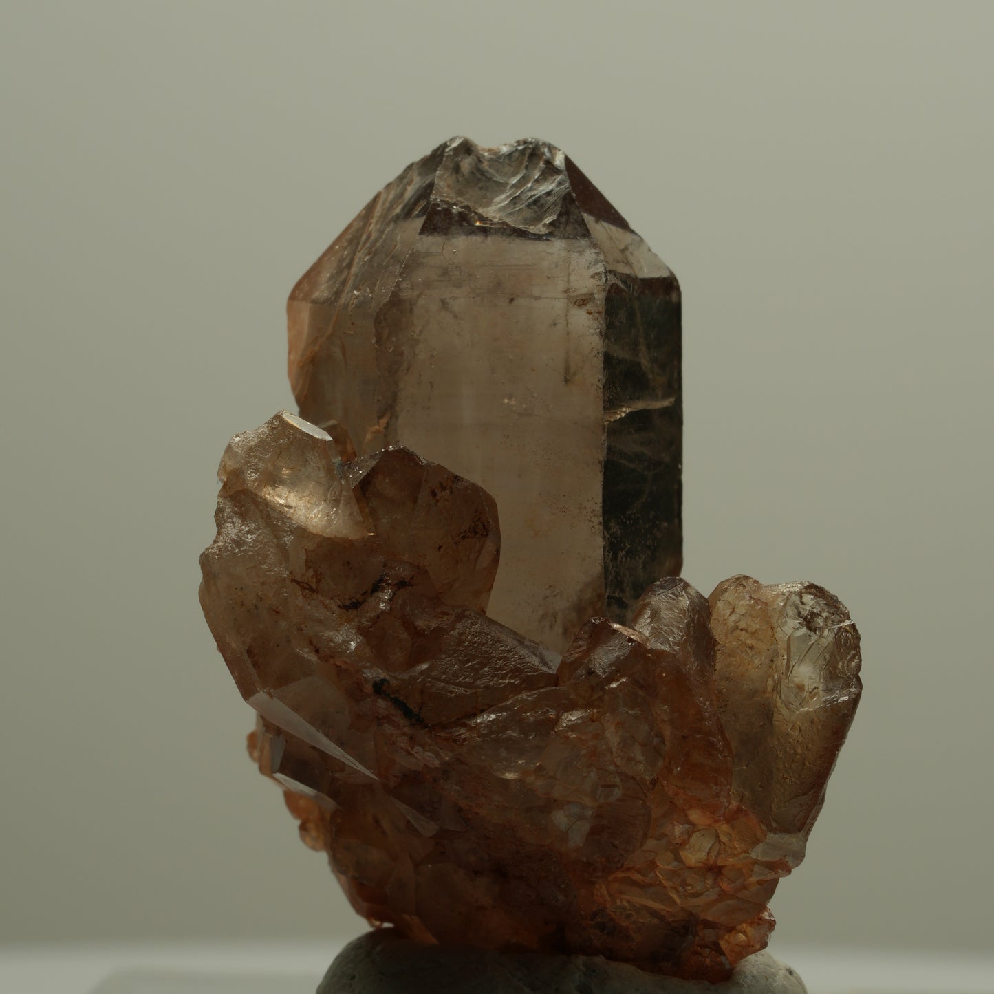 Seltene Phantom Rauchquarz Skelett Zepter Stufe Goboboseb, Namibia 39*28*21mm #14068