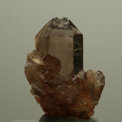 Seltene Phantom Rauchquarz Skelett Zepter Stufe Goboboseb, Namibia 39*28*21mm #14068