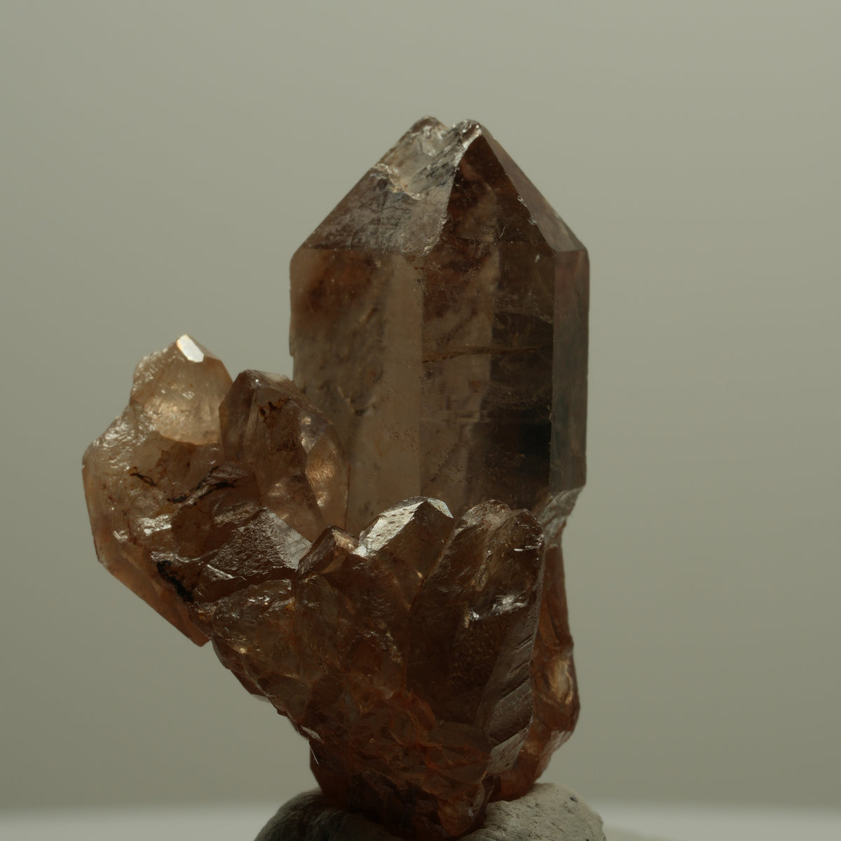 Seltene Phantom Rauchquarz Skelett Zepter Stufe Goboboseb, Namibia 39*28*21mm #14068