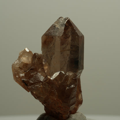 Seltene Phantom Rauchquarz Skelett Zepter Stufe Goboboseb, Namibia 39*28*21mm #14068