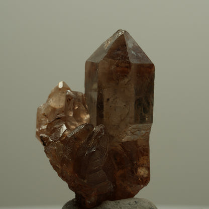 Seltene Phantom Rauchquarz Skelett Zepter Stufe Goboboseb, Namibia 39*28*21mm #14068