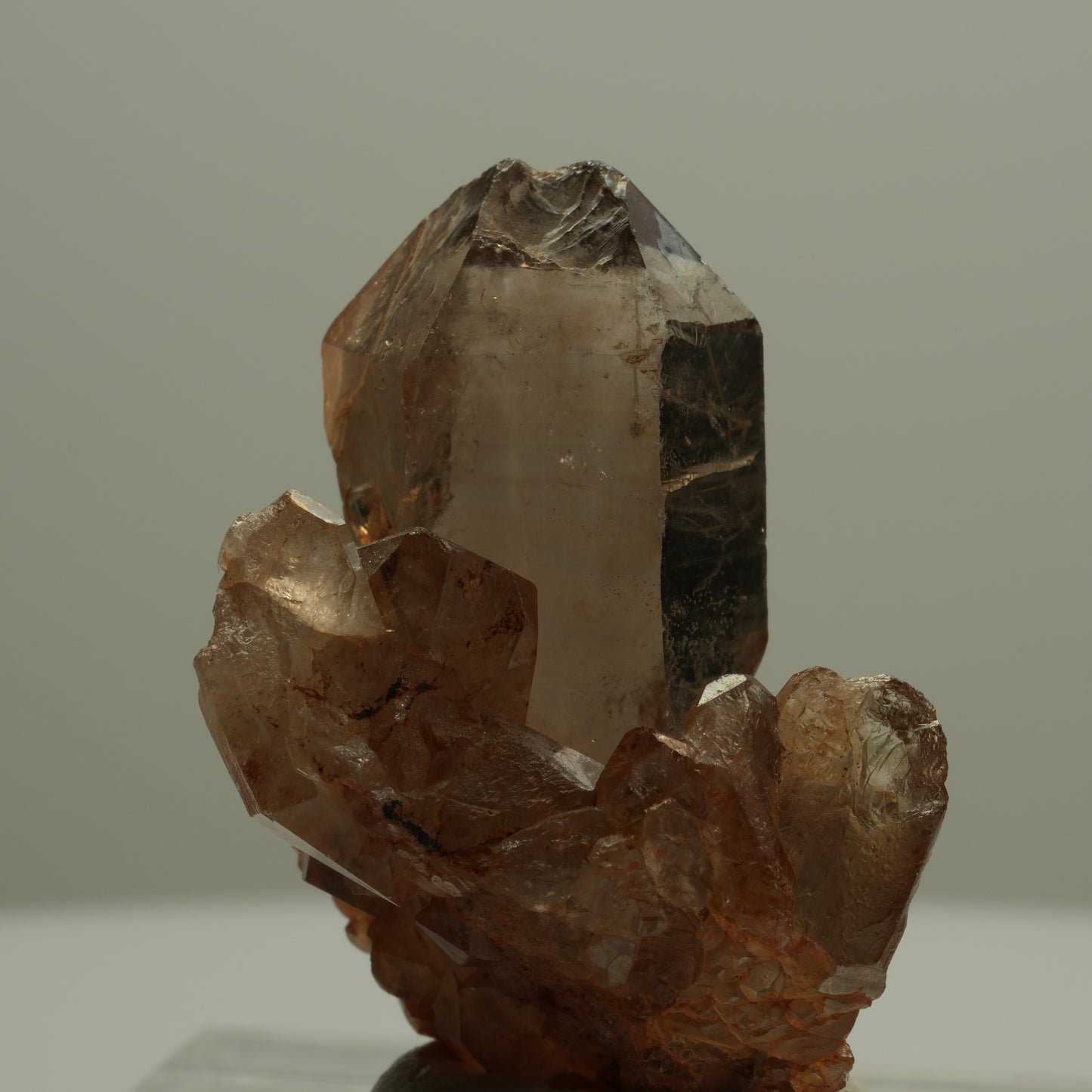 Seltene Phantom Rauchquarz Skelett Zepter Stufe Goboboseb, Namibia 39*28*21mm #14068
