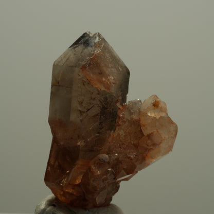 Seltene Phantom Rauchquarz Skelett Zepter Stufe Goboboseb, Namibia 39*28*21mm #14068