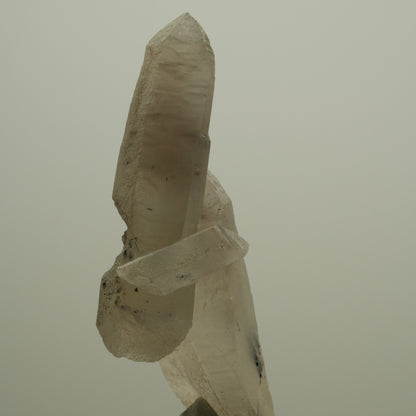 Skelett Rauchquarz Kristall Spitze mit Schörl Turmalin Erongo, Namibia 73*41*20mm #14069