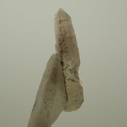 Skelett Rauchquarz Kristall Spitze mit Schörl Turmalin Erongo, Namibia 73*41*20mm #14069