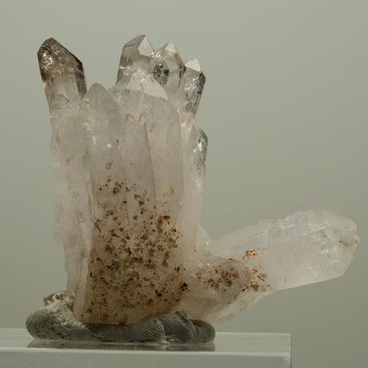 Seltene Phantom Skelett Rauchquarz Stufe Goboboseb, Namibia 56*45*28mm #14070