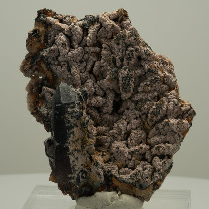 Schöne Rauchquarz Spitze auf Matrix Goboboseb, Namibia 68*52*21mm #14072