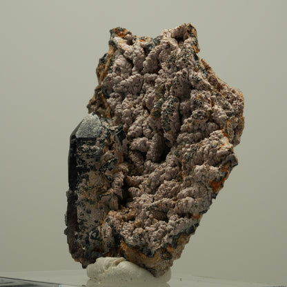 Schöne Rauchquarz Spitze auf Matrix Goboboseb, Namibia 68*52*21mm #14072