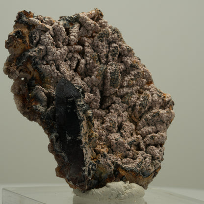Schöne Rauchquarz Spitze auf Matrix Goboboseb, Namibia 68*52*21mm #14072