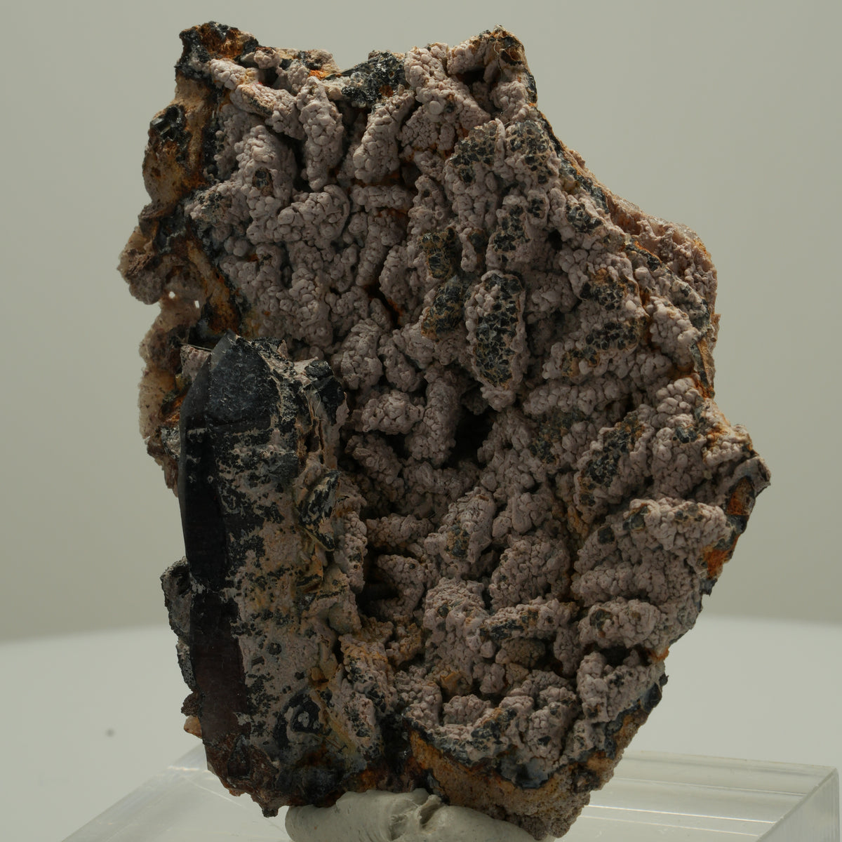 Schöne Rauchquarz Spitze auf Matrix Goboboseb, Namibia 68*52*21mm #14072