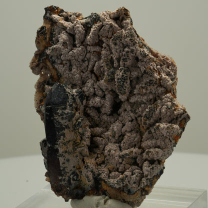 Schöne Rauchquarz Spitze auf Matrix Goboboseb, Namibia 68*52*21mm #14072