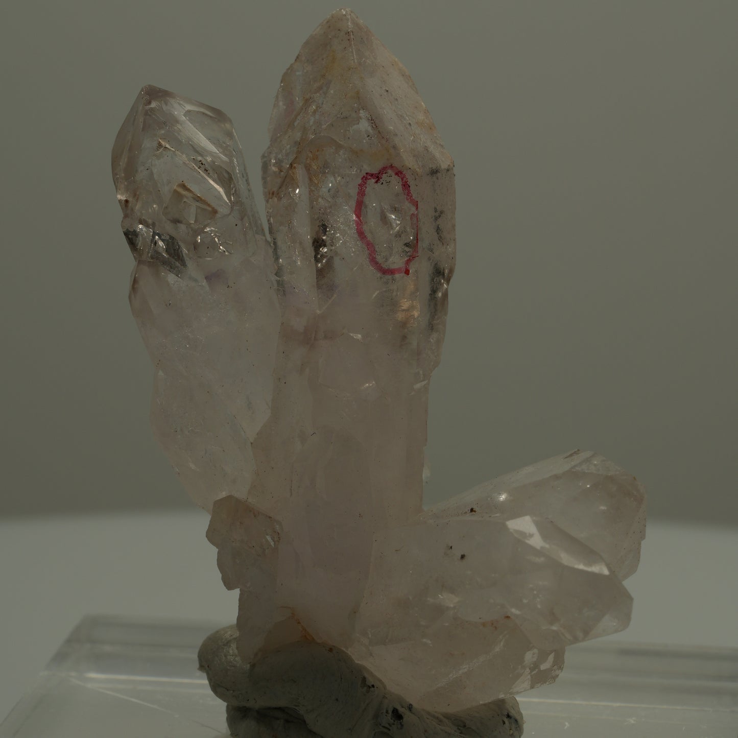 Enhydro Phantom Rauchquarz Skelett Zepter Spitzen, 2x Blase Goboboseb, Namibia 47*38*22mm #14074