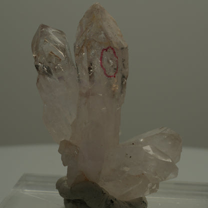 Enhydro Phantom Rauchquarz Skelett Zepter Spitzen, 2x Blase Goboboseb, Namibia 47*38*22mm #14074