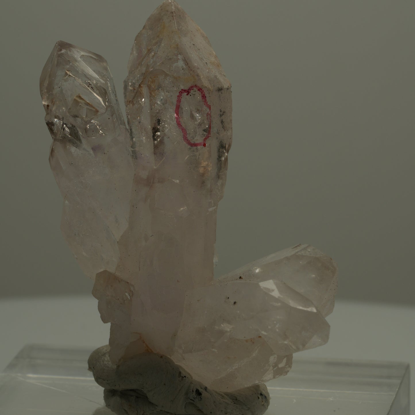 Enhydro Phantom Rauchquarz Skelett Zepter Spitzen, 2x Blase Goboboseb, Namibia 47*38*22mm #14074