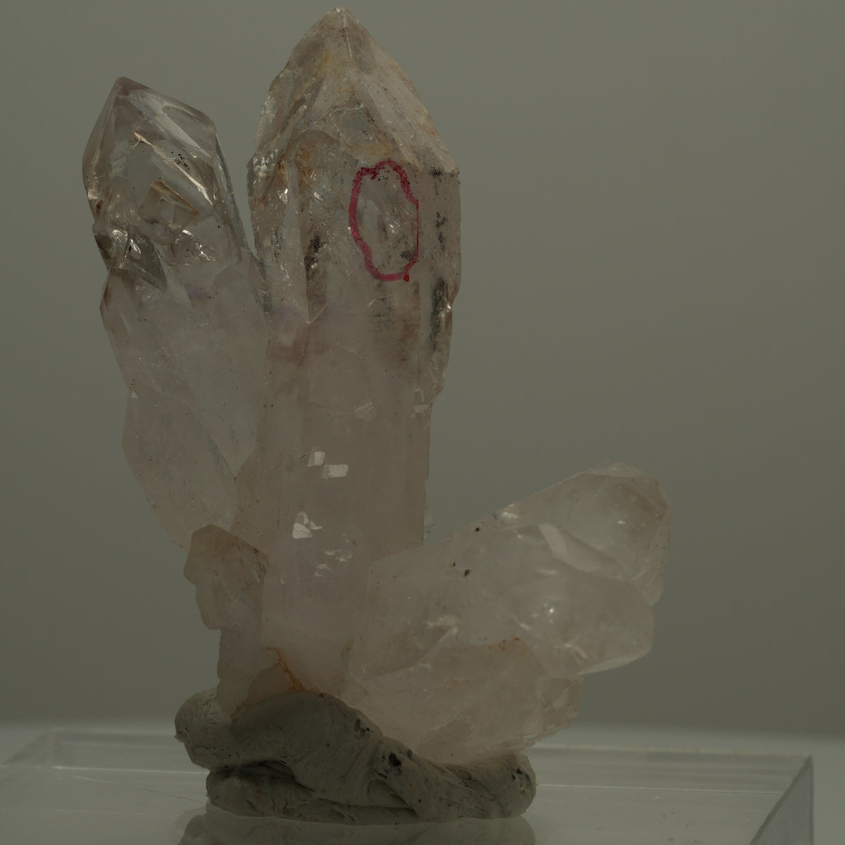 Enhydro Phantom Rauchquarz Skelett Zepter Spitzen, 2x Blase Goboboseb, Namibia 47*38*22mm #14074