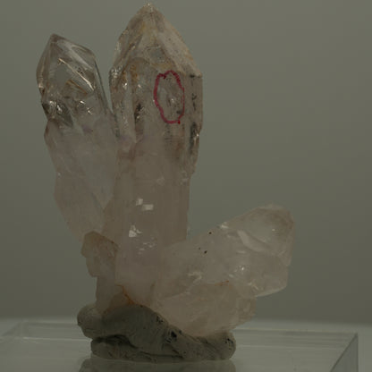 Enhydro Phantom Rauchquarz Skelett Zepter Spitzen, 2x Blase Goboboseb, Namibia 47*38*22mm #14074