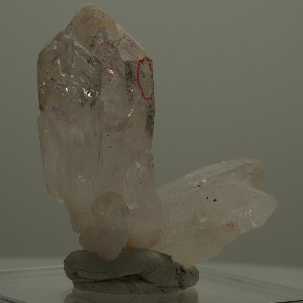 Enhydro Phantom Rauchquarz Skelett Zepter Spitzen, 2x Blase Goboboseb, Namibia 47*38*22mm #14074